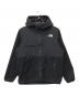 THE NORTH FACE（ザ ノース フェイス）の古着「デナリフーディ」｜ブラック
