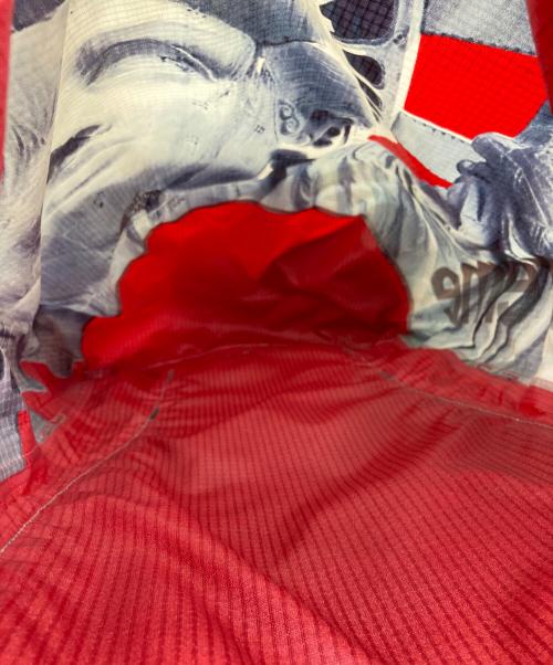 SUPREME（シュプリーム）Supreme (シュプリーム) THE NORTH FACE (ザ ノース フェイス) STATUE OF LIBERTY WATERPROOF BACK PACK レッド サイズ:下記参照の古着・服飾アイテム