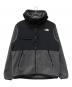 THE NORTH FACE（ザ ノース フェイス）の古着「DENALI HOODIE」｜グレー