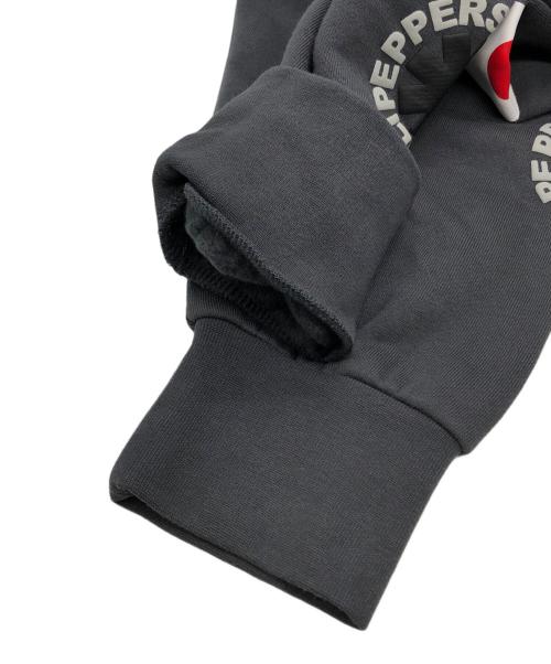 RED HOT CHILI PEPPERS（レッドホットチリペッパーズ）Red Hot Chili Peppers (レッドホットチリペッパーズ) 2024 ワールドツアープルオーバーパーカー グレー サイズ:Ｌの古着・服飾アイテム