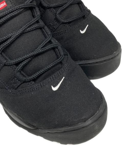 NIKE SB（ナイキエスビー）NIKE SB (ナイキエスビー) SUPREME (シュプリーム) SB Darwin Low 