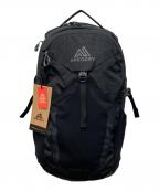 GREGORYグレゴリー）の古着「NANO20 バックパック」｜ブラック