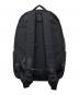 Porter Classic (ポータークラシック) NEWTONシリーズ CITY RUCKSACK ブラック サイズ:下記参照：15000円