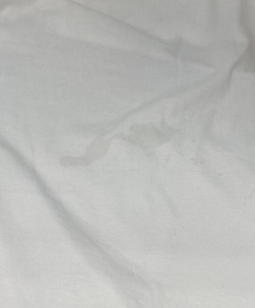 PALACE（パレス）PALACE (パレス) PALACHINO T-SHIRT ホワイト サイズ:Lの古着・服飾アイテム
