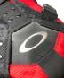 中古・古着 OAKLEY (オークリー) ICON BACKPACK レッド サイズ:下記参照：20000円