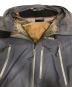 中古・古着 ARC'TERYX (アークテリクス) THETA AR JACKET CINDER サイズ:M：50000円