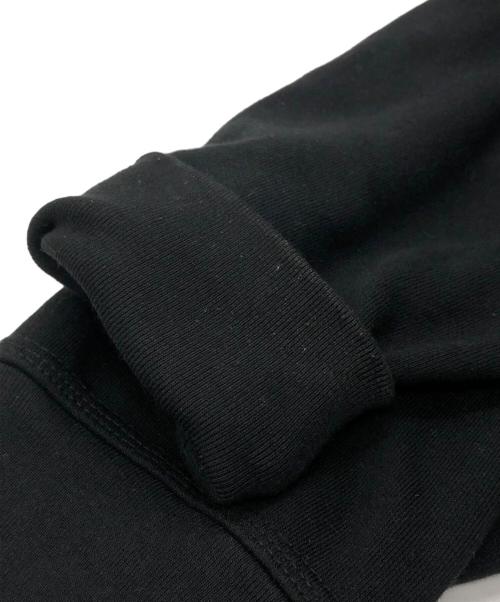 stussy（ステューシー）stussy (ステューシー) WINGSPAN HOODIE ブラック サイズ:SIZE Lの古着・服飾アイテム