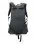 ARC'TERYX (アークテリクス) arro 22 backpack ブラック：12000円