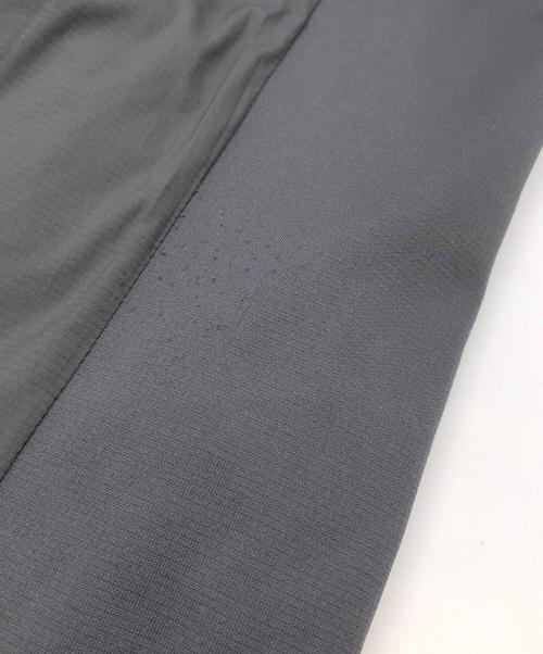 ARC'TERYX（アークテリクス）ARC'TERYX (アークテリクス) Atom Jacket/アトムジャケット グレー サイズ:Lの古着・服飾アイテム