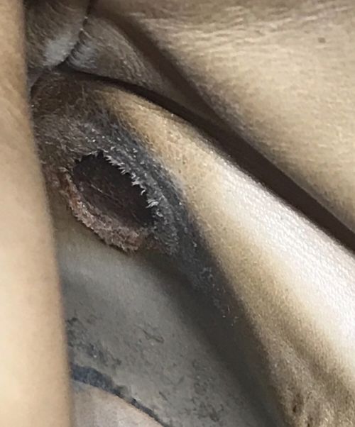 STEFANO BI（ステファーノビ）STEFANO BI (ステファーノビ) ジョッパーブーツ　0701 844 ブラウン サイズ:8 1/2の古着・服飾アイテム