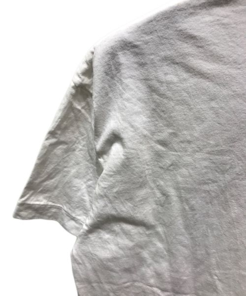 PLAY COMME des GARCONS（プレイコムデギャルソン）PLAY COMME des GARCONS (プレイ コムデギャルソン) THE NORTH FACE (ザ ノース フェイス) ロゴプリントTシャツ　AE-T202 ホワイト サイズ:XXLの古着・服飾アイテム