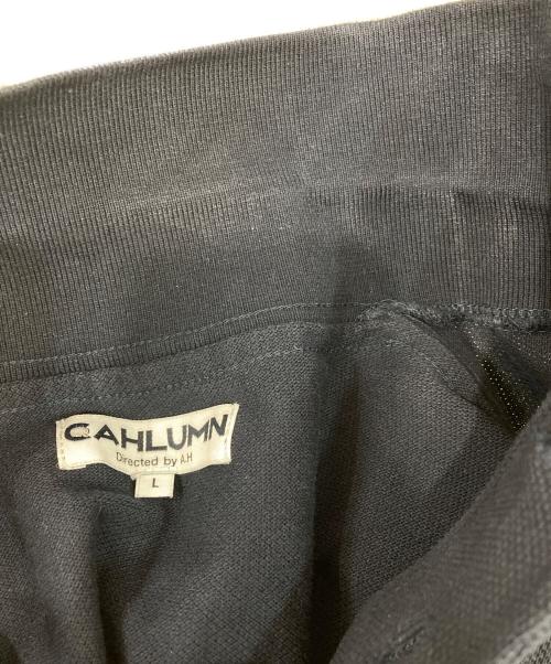 CAHLUMN（カウラム）CAHLUMN (カウラム) ポロシャツ ネイビー サイズ:Lの古着・服飾アイテム