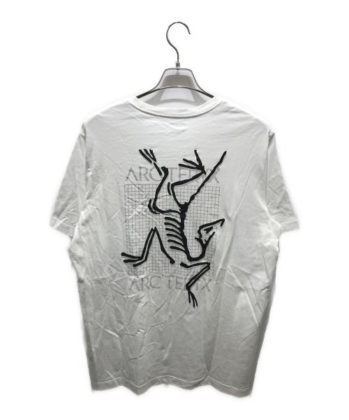 ARC'TERYX（アークテリクス）ARC'TERYX (アークテリクス) アークマルチバード ロゴ ショートスリーブ　X000007747 ホワイト サイズ:Lの古着・服飾アイテム