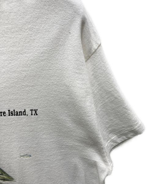 FRUIT OF THE LOOM（フルーツオブザルーム）FRUIT OF THE LOOM (フルーツオブザルーム) プリントTシャツ ホワイト サイズ:Lの古着・服飾アイテム