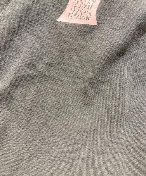 NIKE SB（ナイキエスビー）NIKE SB (ナイキエスビー) マックス90 スケートボード Tシャツ グレー サイズ:XXLの古着・服飾アイテム