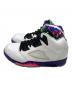 NIKE (ナイキ) AIR JORDAN 5 RETRO　DB3335-100 ホワイト サイズ:29.5：12000円