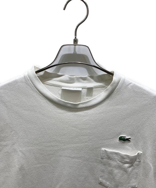 LACOSTE（ラコステ）LACOSTE (ラコステ) Tシャツ ホワイト サイズ:Lの古着・服飾アイテム