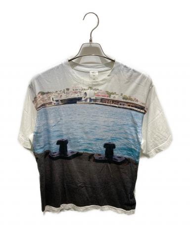 seya. 風景プリント 長袖Tシャツ　ロンハーマン 3006009627993048_01_0849w.jpeg