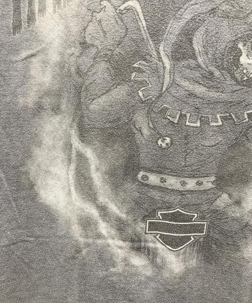 HARLEY-DAVIDSON（ハーレーダビッドソン）HARLEY-DAVIDSON (ハーレーダビッドソン) Hanes (ヘインズ) 両面プリント半袖Tシャツ グレー サイズ:Mの古着・服飾アイテム