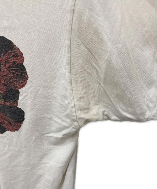 stussy（ステューシー）stussy (ステューシー) 半袖カットソー ホワイト サイズ:Lの古着・服飾アイテム