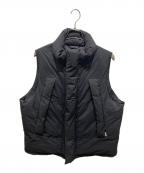 DAIWA PIER39ダイワ ピア39）の古着「GORE-TEX INFINIUM FIELD DOWN VEST　ゴアテックス インフィニアム フィールドダウンベスト ジャケット」｜ブラック