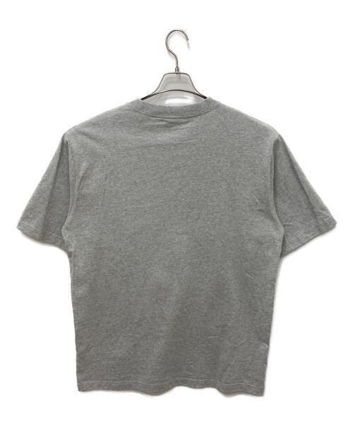 Snow peak（スノーピーク）snow peak (スノーピーク) Recycled Cotton Heavy T shirt グレー サイズ:XLの古着・服飾アイテム