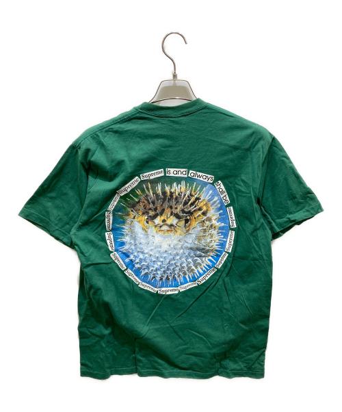 SUPREME（シュプリーム）SUPREME (シュプリーム) Blowfish Tee グリーン サイズ:Ｍの古着・服飾アイテム