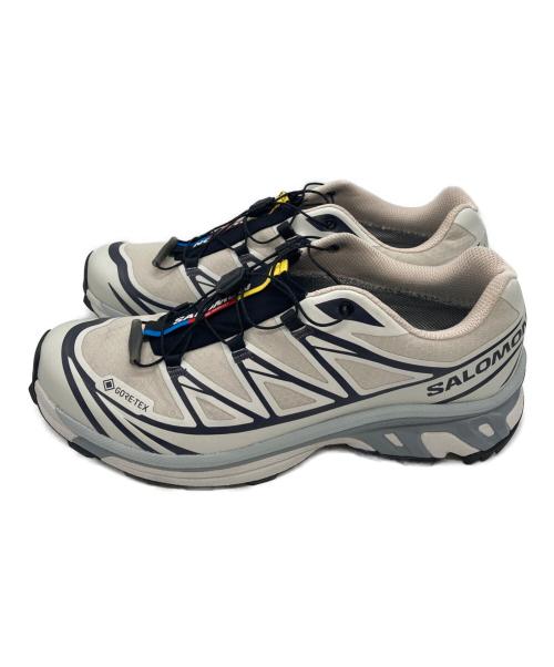 SALOMON（サロモン）SALOMON (サロモン) XT-6 GTX グレー サイズ:26.5の古着・服飾アイテム