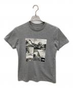 THE NORTH FACEザ ノース フェイス）の古着「photo logo tee」｜グレー