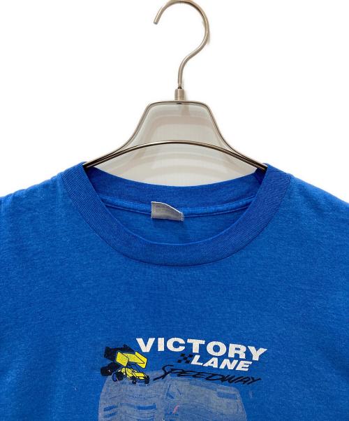 FRUIT OF THE LOOM（フルーツオブザルーム）FRUIT OF THE LOOM (フルーツオブザルーム) プリントTシャツ ブルー サイズ:Lの古着・服飾アイテム