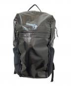Patagoniaパタゴニア）の古着「Lightweight Black Hole Pack」｜ブラック