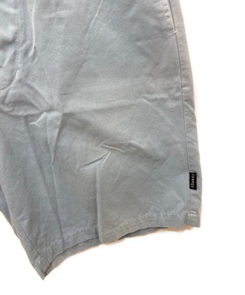 stussy（ステューシー）stussy (ステューシー) ハーフパンツ ブルー サイズ:33の古着・服飾アイテム