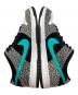 中古・古着 NIKE SB (ナイキエスビー) SB DUNK LOW PRO　ダンク ロー Elephant/Safari サイズ:29：25000円