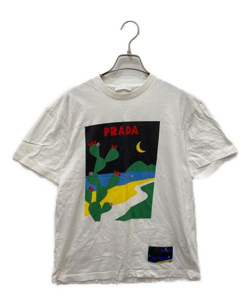 PRADA（プラダ）PRADA (プラダ) Cuctus T-Shirt プリントTシャツ ホワイト サイズ:Mの古着・服飾アイテム