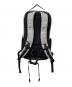ARC'TERYX (アークテリクス) MANTIS 26L BACKPACK グレー：20000円