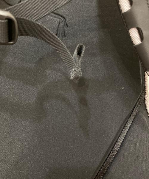ARC'TERYX（アークテリクス）ARC'TERYX (アークテリクス) Arro 22 Backpack ブラックの古着・服飾アイテム