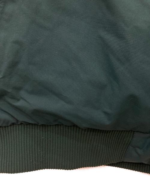 THE NORTH FACE（ザ ノース フェイス）THE NORTH FACE (ザ ノース フェイス) MCMURDO BOMBER JACKET グリーン サイズ:XXXLの古着・服飾アイテム