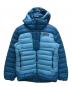 Patagonia（パタゴニア）の古着「アルプロフト・ダウン・パーカ」｜ブルー