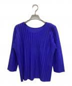 PLEATS PLEASEプリーツプリーズ）の古着「プリーツカットソー」｜ブルー