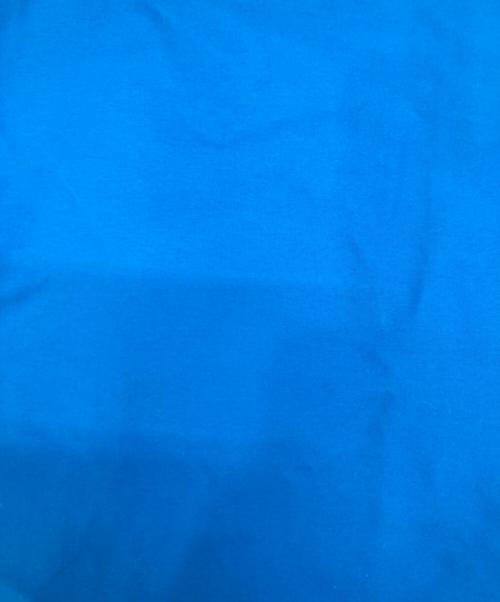 TOPO DESIGNS（トポデザイン）TOPO DESIGNS (トポデザイン) ナイロンジャケット ブルー サイズ:Mの古着・服飾アイテム