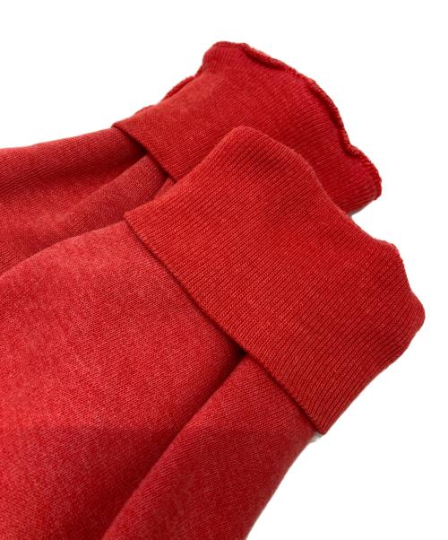 Champion（チャンピオン）Champion (チャンピオン) カレッジロゴパーカー レッド サイズ:Lの古着・服飾アイテム