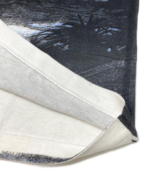 Hanes（ヘインズ）Hanes (ヘインズ) 全面プリントヴィンテージTシャツ ホワイト×ブラック サイズ:XLの古着・服飾アイテム