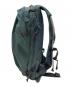 Patagonia (パタゴニア) ダート・ローマー・パック 20L グリーン 未使用品：13000円