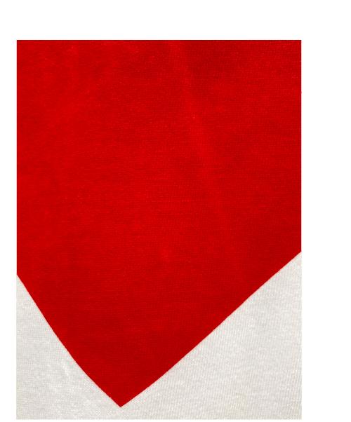 SAINT MICHAEL（セントマイケル）SAINT MICHAEL (セントマイケル) The Kid Laroi SS TEE ホワイト サイズ:XLの古着・服飾アイテム