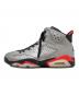 NIKE (ナイキ) Air Jordan 6 Reflective 
