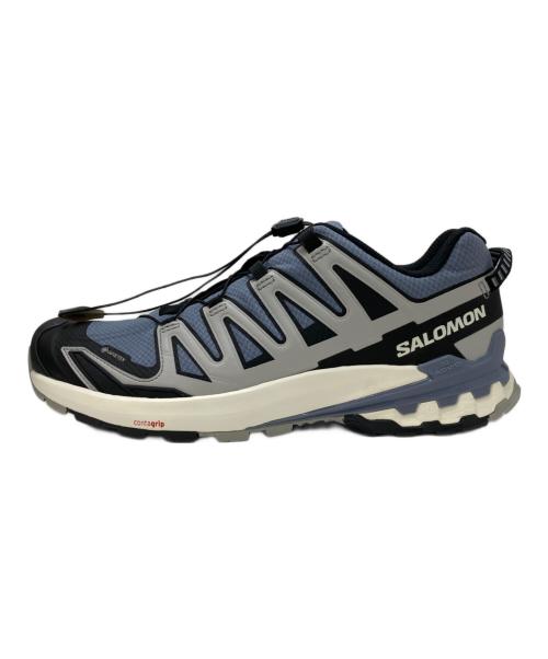 SALOMON（サロモン）SALOMON (サロモン) XA PRO 3D V9 GTX ブルー×グレー サイズ:28の古着・服飾アイテム
