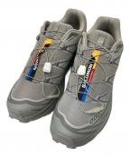 SALOMONサロモン）の古着「XT-6スポーツスタイル」｜グレー