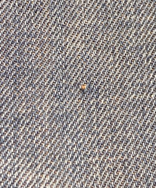 TRUE RELIGION（トゥルー レリジョン）TRUE RELIGION (トゥルー レリジョン) RICKY デニムパンツ インディゴ サイズ:28の古着・服飾アイテム