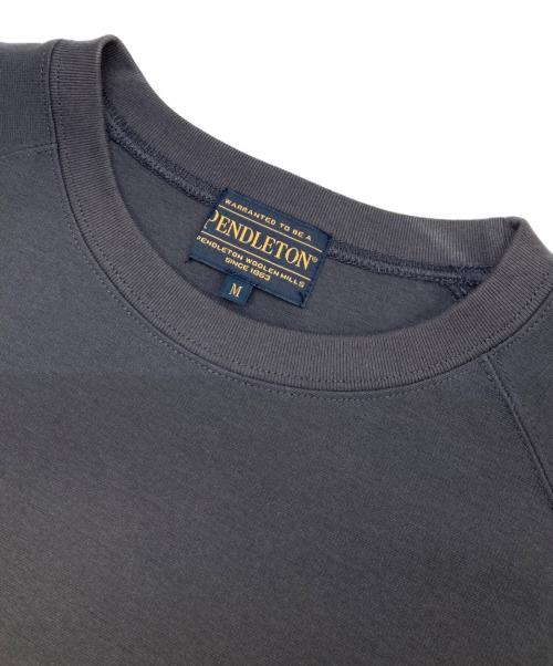 PENDLETON（ペンドルトン）PENDLETON (ペンドルトン) BAYFLOW (ベイフロー) Tシャツ グレー サイズ:Mの古着・服飾アイテム