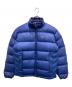 Patagonia（パタゴニア）の古着「インサレーショングースダウンジャケット」｜ネイビー